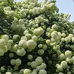 Les Volets Bleus Appartement