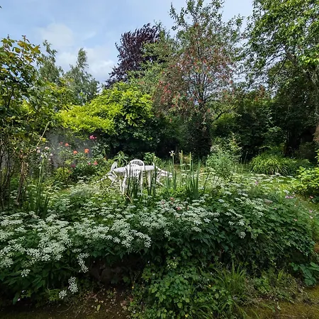 Les Volets Bleus Metz