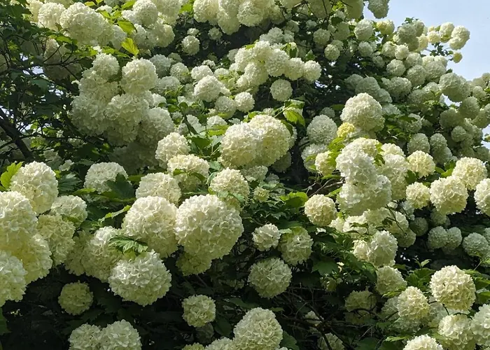Les Volets Bleus 아파트